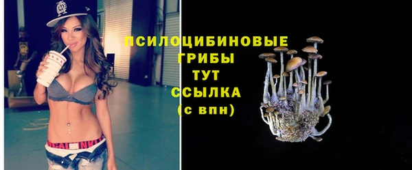 apvp Надым