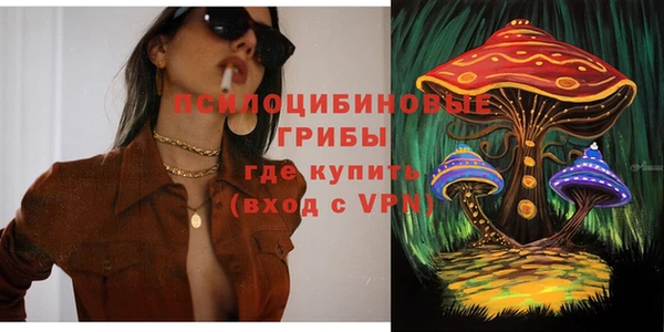 тгк Нефтекумск