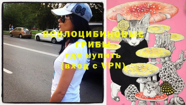 тгк Нефтекумск