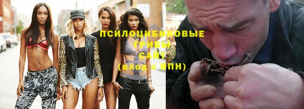 apvp Надым