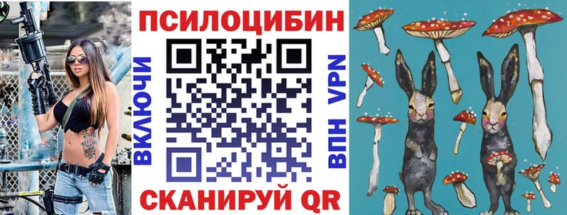 Псилоцибиновые грибы GOLDEN TEACHER  Камызяк 